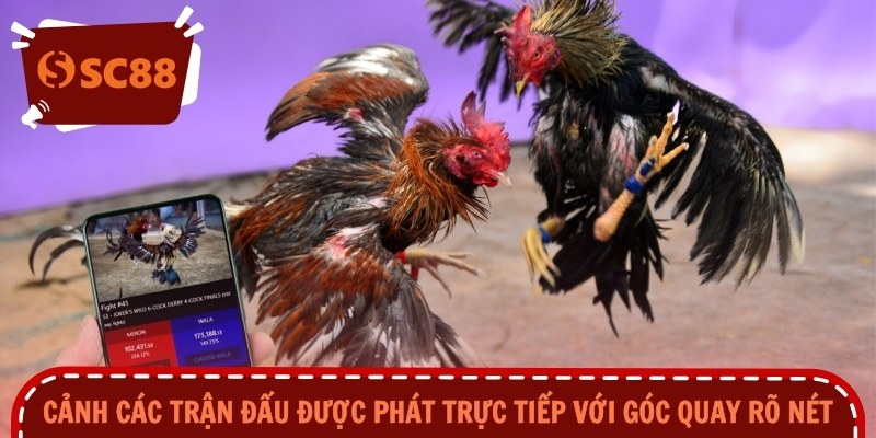 Cảnh các trận đấu được phát trực tiếp với góc quay rõ nét