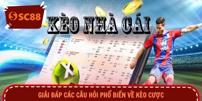 Giải đáp các câu hỏi phổ biến về kèo cược