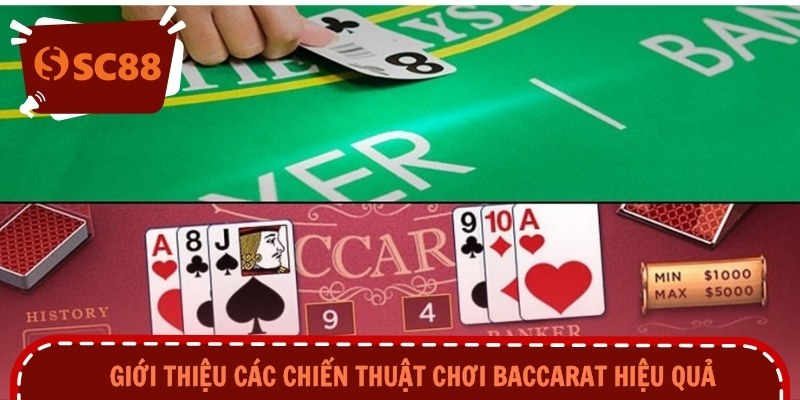 Giới thiệu các chiến thuật chơi baccarat hiệu quả