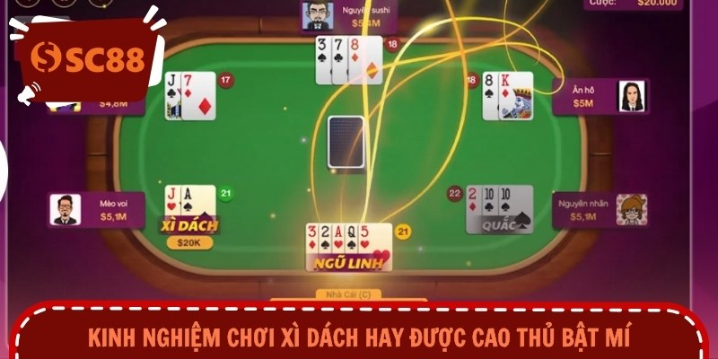 Kinh nghiệm chơi xì dách hay được cao thủ bật mí