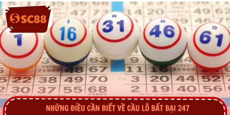 Những điều cần biết về cầu lô bất bại 247