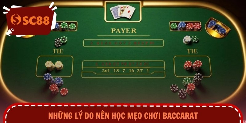 Những lý do nên học mẹo chơi baccarat